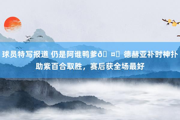 球员特写报道 仍是阿谁鸭爹🤚德赫亚补时神扑助紫百合取胜，赛后获全场最好