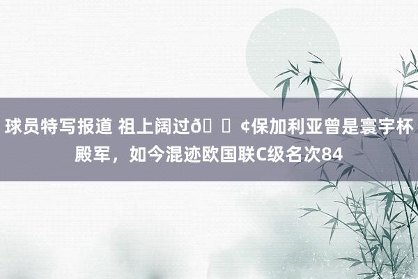 球员特写报道 祖上阔过😢保加利亚曾是寰宇杯殿军，如今混迹欧国联C级名次84