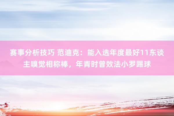 赛事分析技巧 范迪克：能入选年度最好11东谈主嗅觉相称棒，年青时曾效法小罗踢球