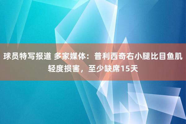 球员特写报道 多家媒体：普利西奇右小腿比目鱼肌轻度损害，至少缺席15天